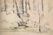Paul Cezanne, Sous-bois